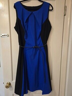 Alyx Black and Royal Blue Sleeveless A-Line Dress